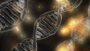 ADN test recherche genealogie detective enquete preuve